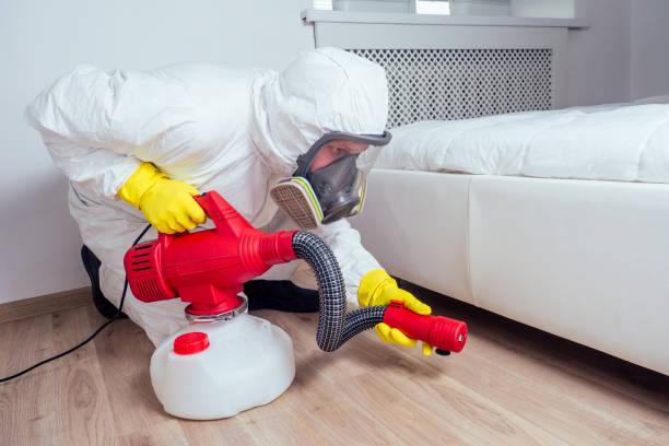 Best Pest Control for Businesses  in Conesus Lake, NY