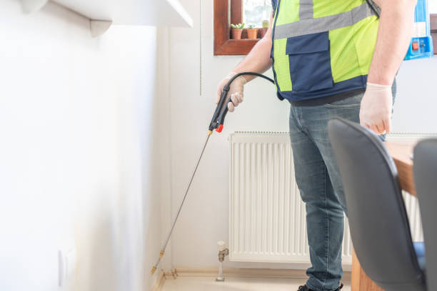Best Termite Control Services  in Conesus Lake, NY