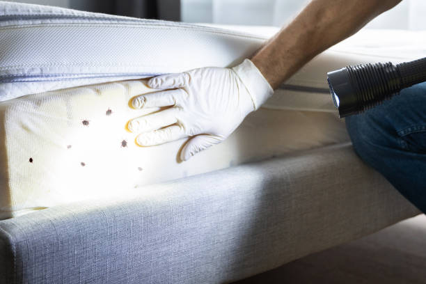Best Best Pest Control Companies  in Conesus Lake, NY