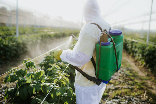 Best Wildlife Control Services  in Conesus Lake, NY